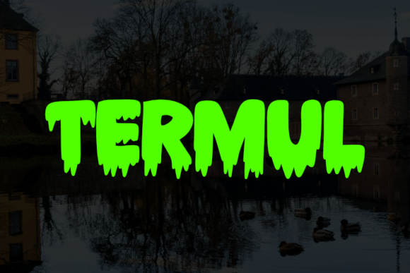 Termul: A Bold and Stylish Display Font